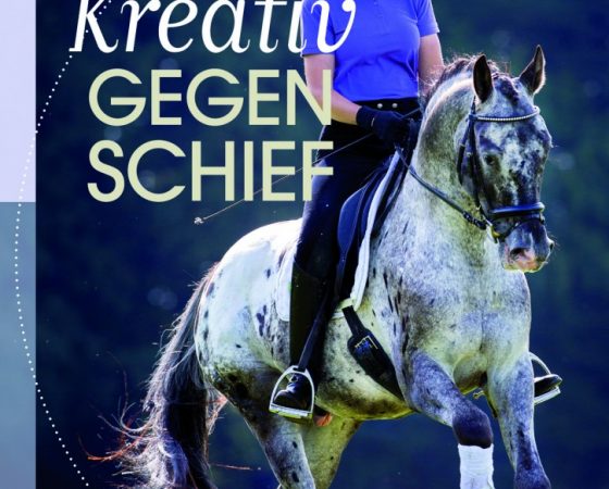 Mein Buch & andere Publikationen